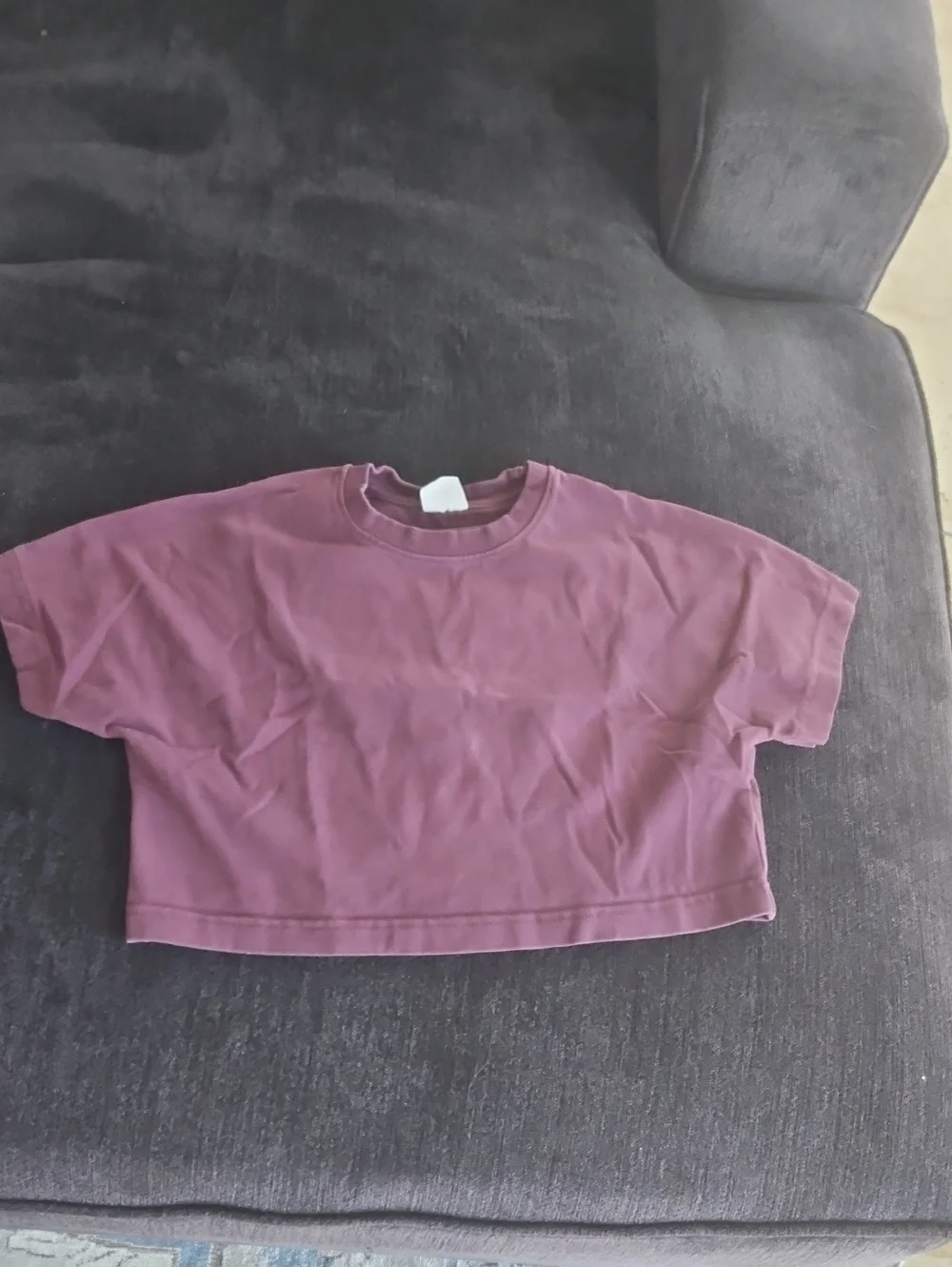 Zara Kids Cropped Crewneck Tee in Mauve